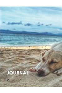 Journal
