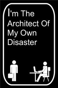 I'm the Architect of My Own Disaster