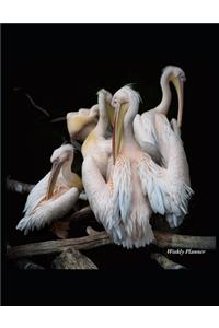 Pelican Weekly Planner