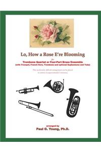 Lo, How a Rose E'Re Blooming