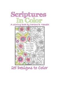 Scriptures in Color