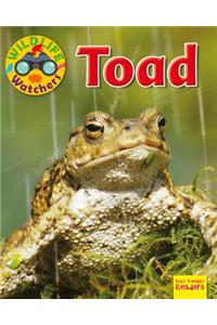 Toad