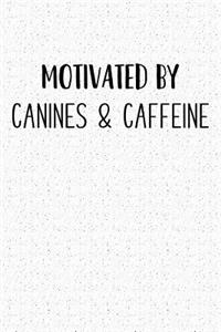Motivated by Canines and Caffeine