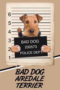 Bad Dog Airedale Terrier