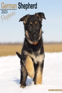 German Shepherd Puppies 2023 Wall Calendar