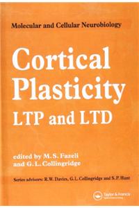 Cortical Plasticity