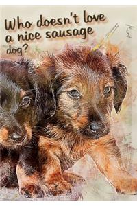 Who doesn't like a nice sausage dog?