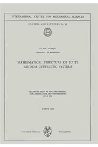 Mathematical Structure of Finite Random Cybernetic Systems