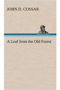 A Leaf from the Old Forest