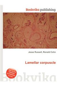 Lamellar Corpuscle