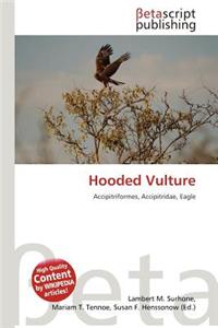 Hooded Vulture