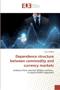 Dependence structure between commodity and currency markets