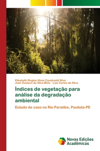 Índices de vegetação para análise da degradação ambiental