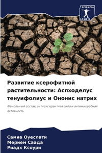 Развитие ксерофитной растительности