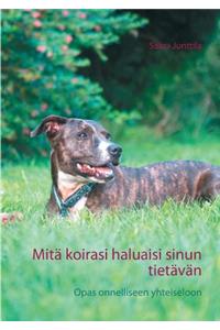 Mitä koirasi haluaisi sinun tietävän