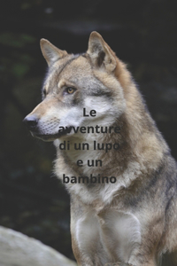 Il lupo e un bambino