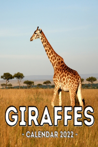 Giraffes Calendar 2022