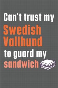 Can't trust my Swedish Vallhund to guard my sandwich