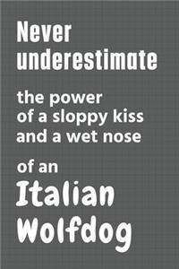 Never underestimate the power of a sloppy kiss and a wet nose of an Italian Wolfdog