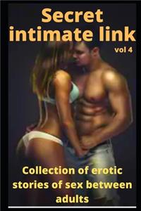 Secret intimate link (vol 4): Collection of erotic stories of sex between adults