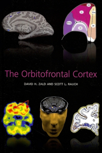 Orbitofrontal Cortex