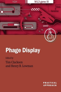 Phage Display