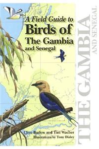 Field Guide to Birds of the Gambia and Senegal