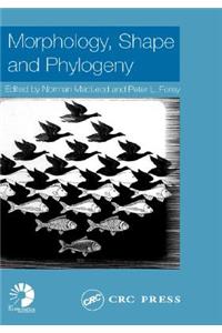 Morphology, Shape and Phylogeny