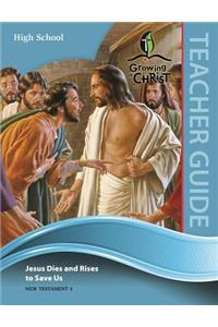 High School Teacher Guide (Nt4)