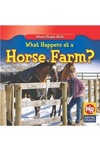 What Happens at a Horse Farm?