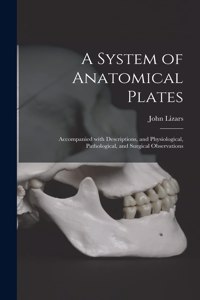 System of Anatomical Plates; Accompanied With Descriptions, and Physiological, Pathological, and Surgical Observations