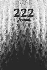 222 Journal