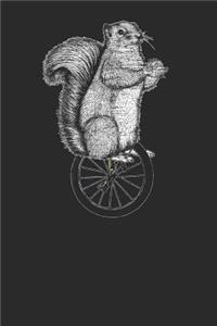 Squirrel Unicycle