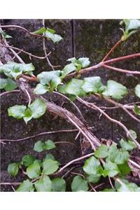 School Composition Book Woody Vine Spring Growth