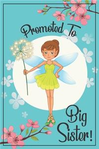 Big Sister Journal - Big Sister Notebook