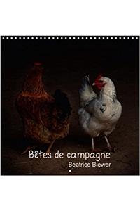 Betes De Campagne 2018