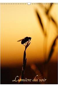 Lumiere Du Soir 2018