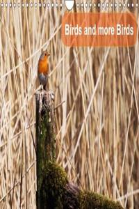 Birds and More Birds 2018