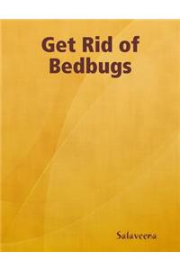 Get Rid of Bedbugs