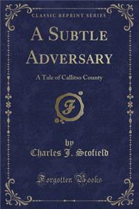 A Subtle Adversary: A Tale of Callitso County (Classic Reprint)