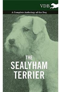 Sealyham Terrier - A Complete Anthology of the Dog
