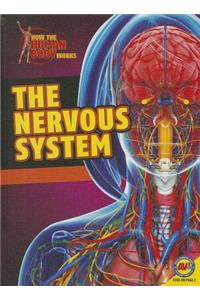 Nervous System