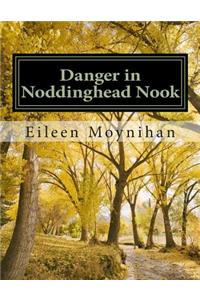 Danger in Noddinghead Nook