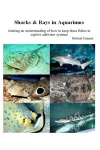 Sharks & Rays in Aquariums