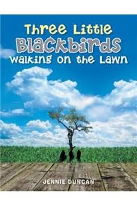 Three Little Black Birds Walking on the Lawn