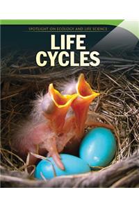 Life Cycles