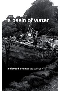 A basin of water