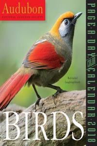 Audubon Birds Page-A-Day Calendar 2018