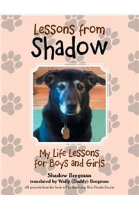Lessons from Shadow