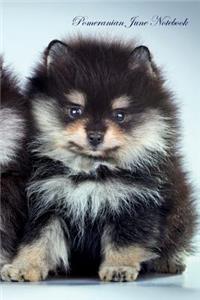 Pomeranian June Notebook Pomeranian Record, Log, Diary, Special Memories, To Do List, Academic Notepad, Scrapbook & More